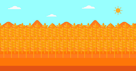 Image showing Background of wheat field.