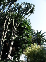 Image showing Capri, Italy