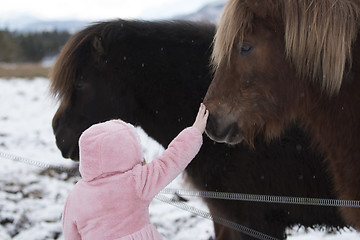 Image showing Brown Horses