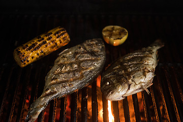 Image showing Grilled dorado fish