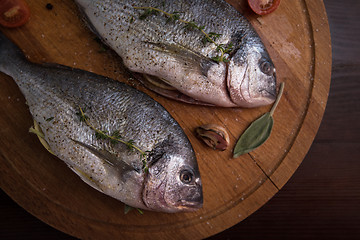 Image showing Fresh uncooked dorado 