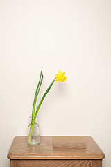 Image showing Yellow narcissus in vase and a book