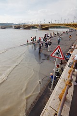 Image showing Flooded Budapest Quayside