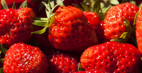 Image showing strawberries