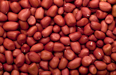 Image showing Shelled peanuts