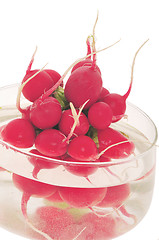 Image showing Fresh radishes in water