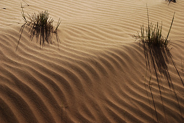 Image showing Desert