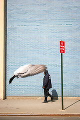 Image showing Man walking on sidewalk