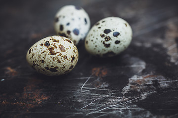 Image showing Quail eggs on a dark background