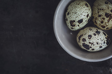 Image showing Quail eggs in the bowl