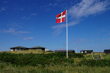 Image showing Danish dunes