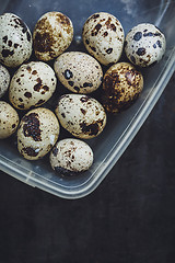 Image showing Quail eggs in a plastic bowl