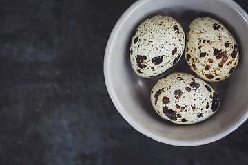 Image showing Quail eggs in the bowl