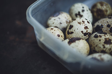 Image showing Quail eggs in a plastic bowl