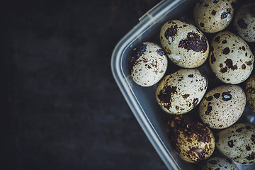 Image showing Quail eggs in a plastic bowl