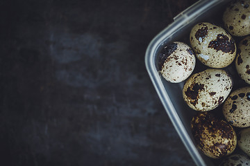 Image showing Quail eggs in a plastic bowl