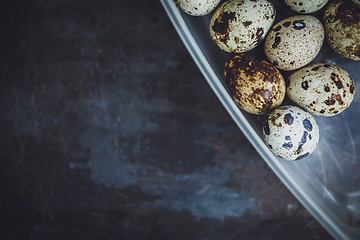 Image showing Quail eggs in a plastic bowl