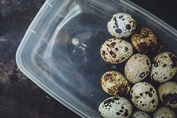 Image showing Quail eggs in a plastic bowl