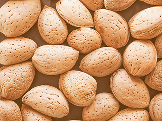 Image showing Retro looking Almond fruit