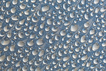 Image showing Shiny WaterDroplets