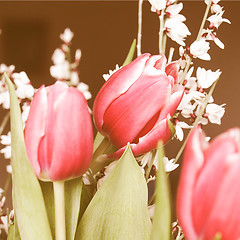 Image showing Retro looking Tulip picture