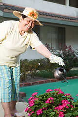 Image showing Senior gardener