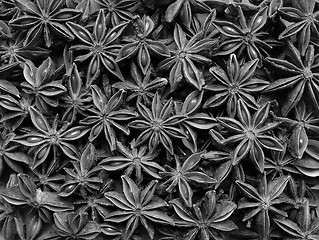 Image showing Star anise as an abstract background texture