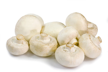 Image showing Champignons