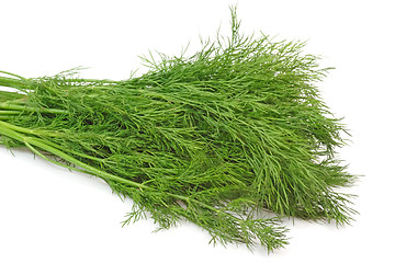 Image showing Dill