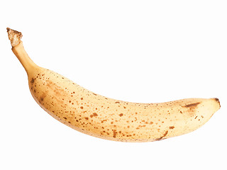 Image showing Retro looking Banana fruit