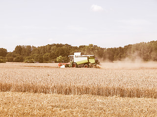 Image showing  Harvest vintage