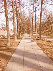 Image showing Path among trees vintage