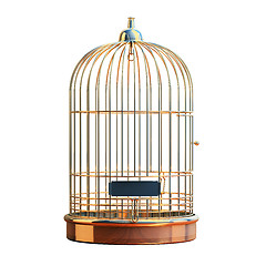 Image showing Empty gilded cage isolated