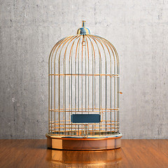 Image showing Empty gilded cage