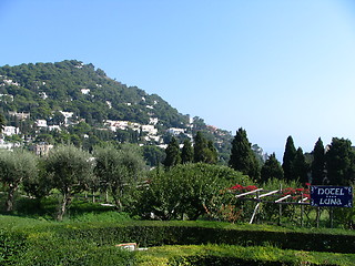 Image showing Capri, Italy