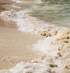 Image showing abstract    thailand kho tao bay coastline   south  sea