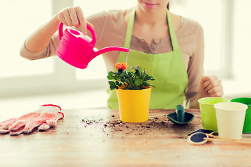 Image showing close up of woman hands planting roses in pot