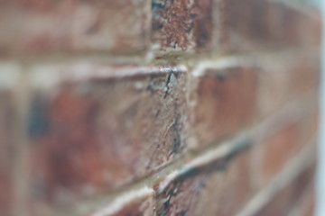 Image showing brick wall background