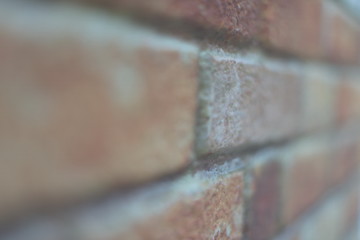 Image showing brick wall background