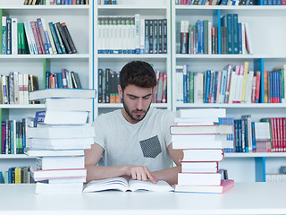 Image showing student in school library