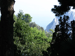 Image showing Capri, Italy