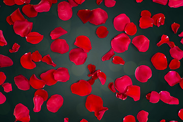 Image showing close up of red rose petals over lights background