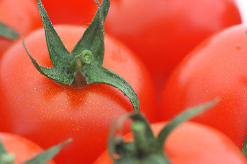 Image showing Tomato background