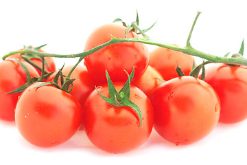 Image showing Tomato cherry