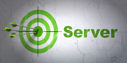 Image showing Web design concept: target and Server on wall background