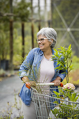 Image showing Shopping in a greenhouse