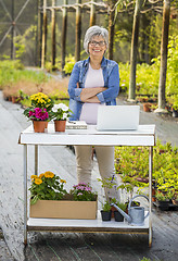 Image showing Working in a flower shop