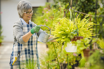 Image showing Taking care of plants