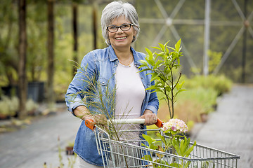 Image showing Shopping in a greenhouse