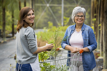 Image showing Worker and customer in a green house